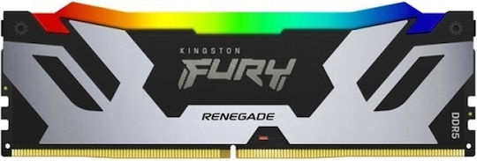 Kingston Fury Renegade RGB DDR5 with Module 1x48GB and Speed 6000 for Desktop KF560C32RSA-48