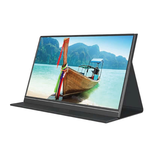 IPS HTVA ViewGo S19 IPS Portable Monitor 15.6" FHD 1920x1080 Silver view 6