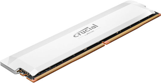 Crucial Pro DDR5 with Module 1x16GB and Speed 6000 for Desktop CP16G60C36U5W vue 4