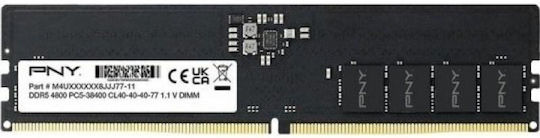 Patriot DDR5 With 1x16GB Module and Speed 4800 26005