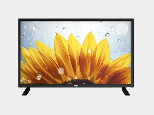 Winstar Television 24" HD Ready LED TV24V5 (2022) view 2