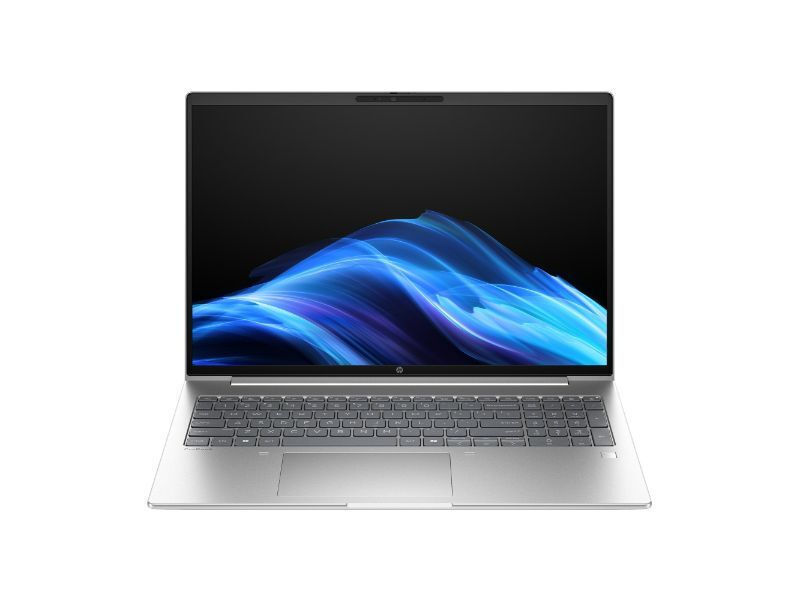 HP ProBook 16" IPS FHD+ (Ryzen 5-220/32GB/512GB SSD/W11 Pro) Pike silver (US Keyboard) view 3