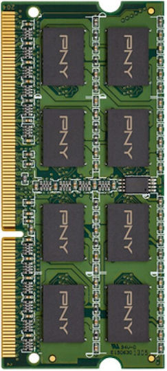 PNY DDR3 with Module 1x8GB and Speed 1600 for Laptop MN8GSD31600-SI
