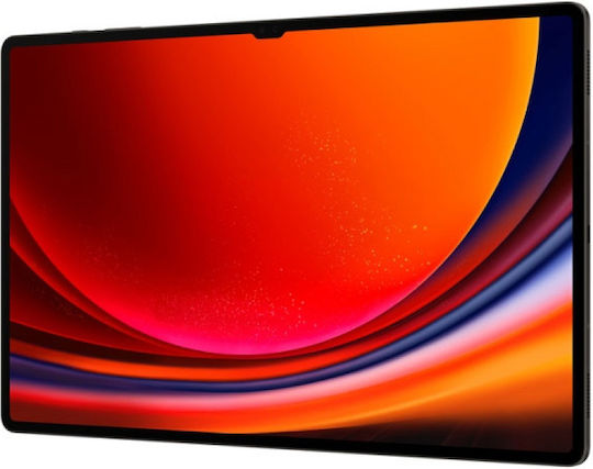 Samsung Galaxy Tab S9 Ultra 14.6" (16GB/1TB) Graphite view 4