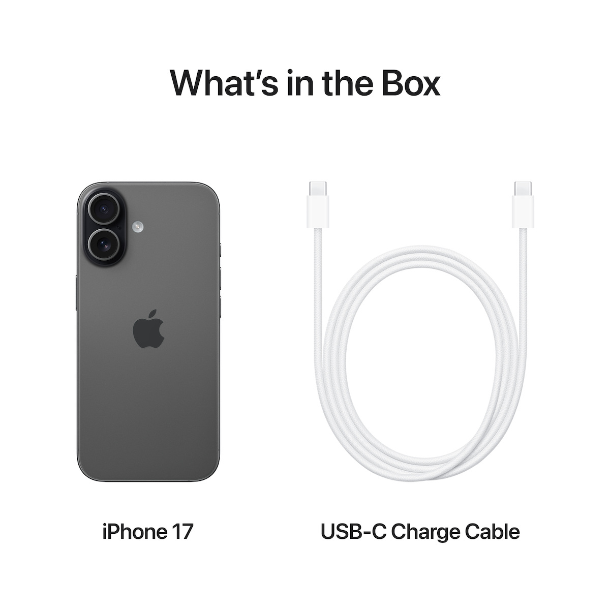 Apple iPhone 17 (8GB/512GB) Black view 6