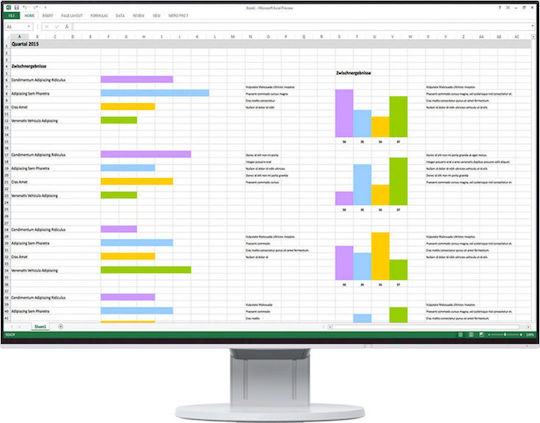 Eizo EV2456 IPS Monitor 24.1" FHD 1920x1200 with Response Time 5ms GTG view 5