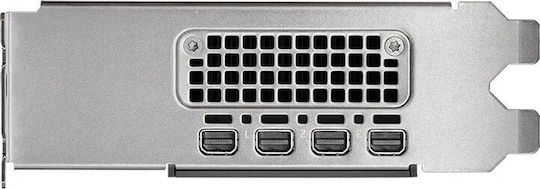 PNY RTX 2000 Ada 16GB GDDR6 Small Box Graphics Card view 5