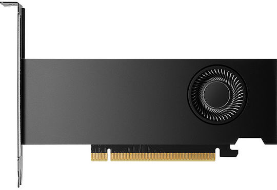 PNY RTX 2000 Ada 16GB GDDR6 Graphics Card view 2