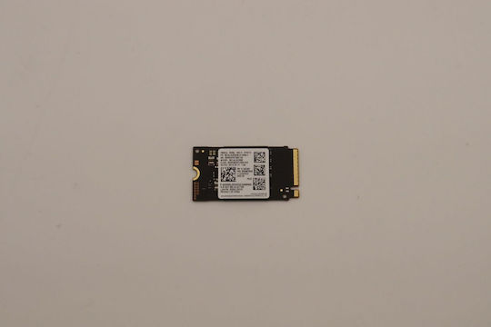 Lenovo SSD 256GB Type M.2 5SS0W79528