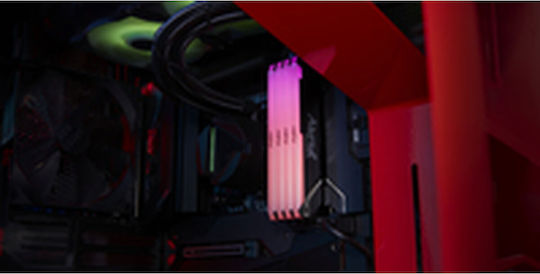 Kingston FURY Beast RGB DDR4 with Module 1x32GB and Speed 3200 for Desktop KF432C16BB12AK2/32 view 4