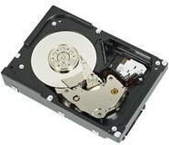 Dell 2TB HDD Hard Drive 3.5" SAS 3.0 7200rpm for Server R755K