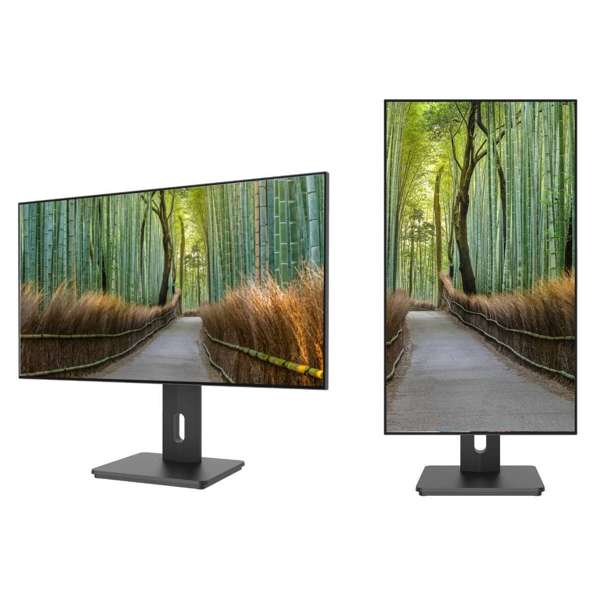 Japannext IPS HDR Monitor 27" QHD 2560x1440 with Response Time 8ms GTG view 2