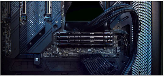 Kingston Fury Beast DDR5 with Module 1x16GB and Speed 5200 for Desktop KF552C40BB-16 view 8